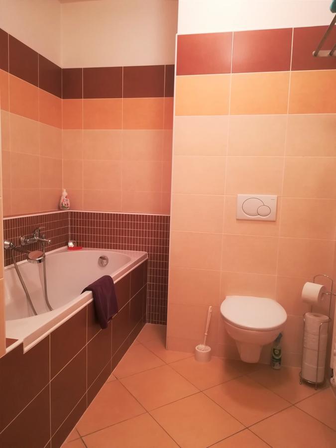 Apartment Promenada Подебрады Экстерьер фото